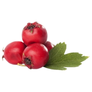 Hawthorn Berries Lebanon