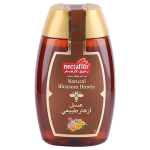 Nectaflor Blossom Bee Honey Squeezy 250G