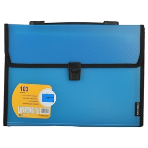 Foldermate Expanding File A4 13Pkt