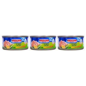 Americana Tuna Flakes In Vegetable Oil 170G X 3