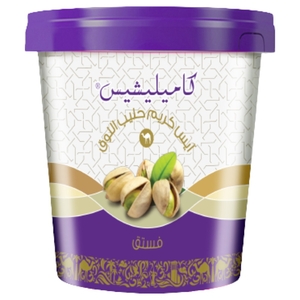 Camelicious Ice Cream With Pistachio And Camel Milk 400Ml