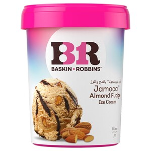 Baskin Robbins Ice Cream Jamoca Almond 1L
