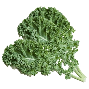 Armela Curly Kale 20G