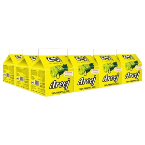 Areej 100% Pineapple Juice No Added Sugar 225Ml X 12