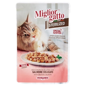 Miglior Gatto Chunk With Tender Salmon 85G