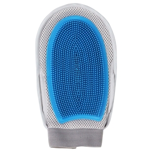Pawise 2 In 1 Grooming Glove
