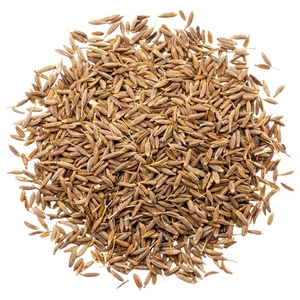 Cumin Seed