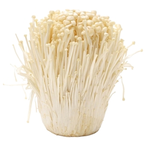 Mushroom Enoki China