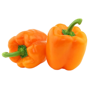 Capsicum Orange Jordan
