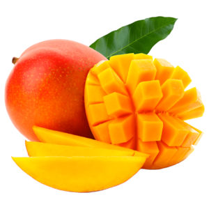 Mango Palmer Brazil