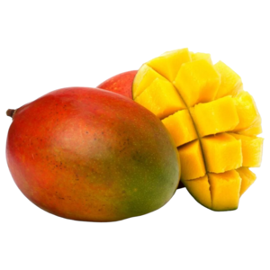 Mango Austin Egypt