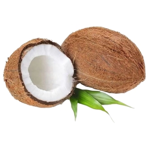 Coconut