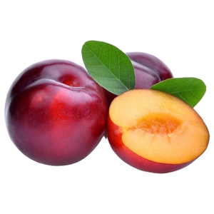 Plum Red Packet