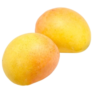 Mango Kensington Pride