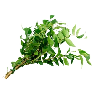 Curry Leaves