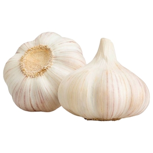 Garlic Loose India
