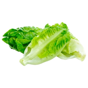 Lettuce Romaine Medium