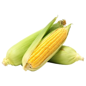 Sweet Corn