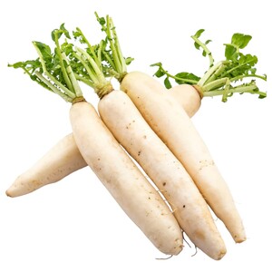 Radish White