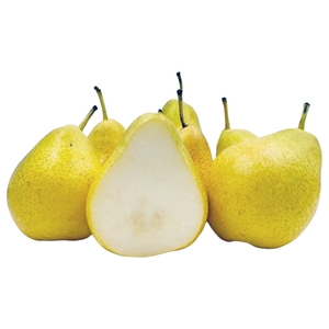 Pear Vermont Beauty South Africa