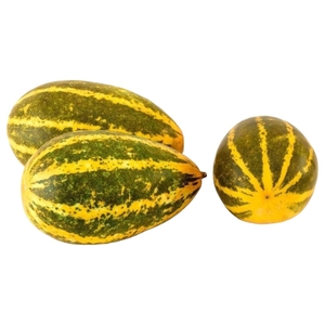 Cucumber Yellow
