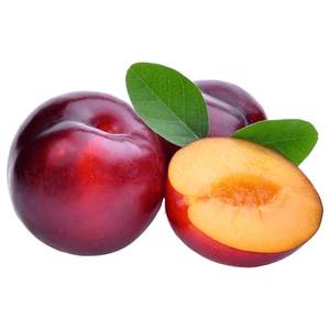 Plum Red