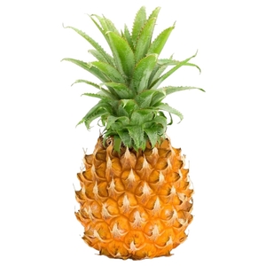 Pineapple Baby