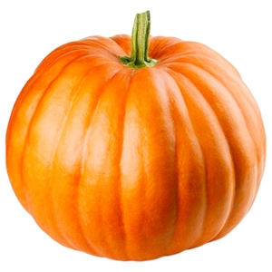 Pumpkin Red Round