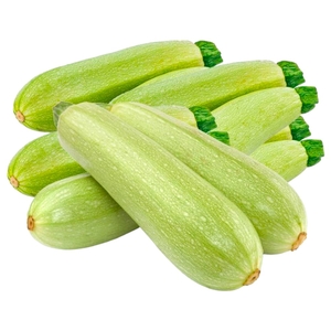Marrow