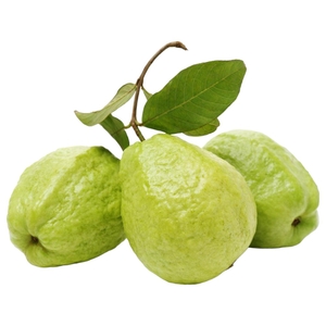 Guava Egypt