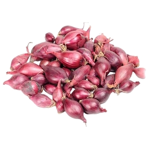 Shallot India