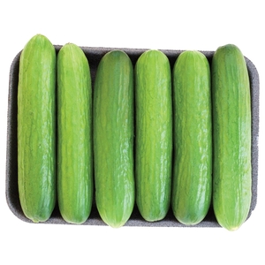 Organic Cucumber Packet