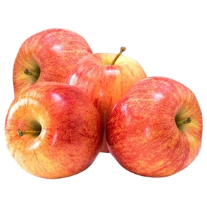 Apple Royal Gala Medium