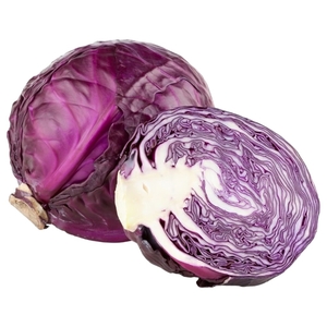 Cabbage Red