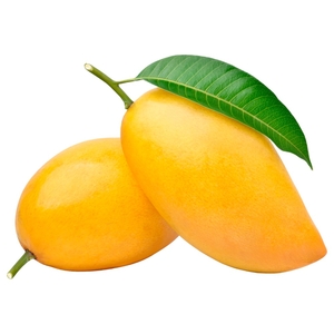 Mango Pakistan