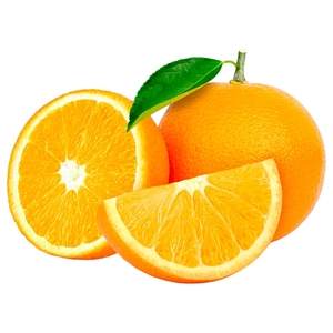 Orange Navel South Africa