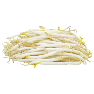 Beans Sprout
