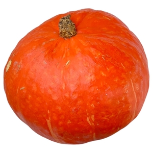 Pumpkin Red Tunisia