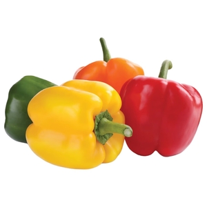 Mini Capsicum Mix