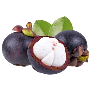 Mangosteen Box