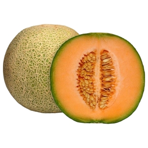 Rock Melon