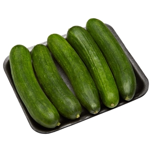 Cucumber