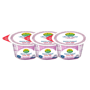 Nada Greek Yogurt Blueberry 160G