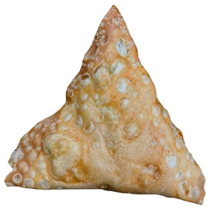 Samosa Punjabi