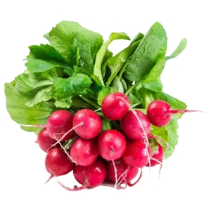 Radish Red 100G