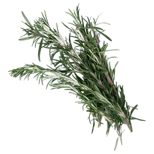 Rosemary Uae Pp