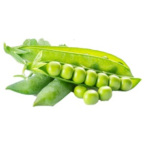 Green Peas Jordan