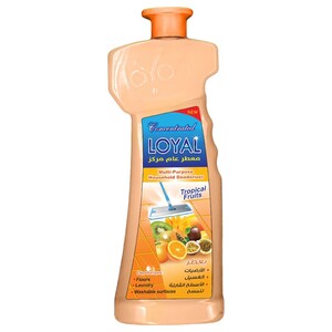 Loyal Multi Purpose Deodorizer Tropical 2.1L