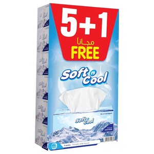 Soft N Cool Facial Tissue 2Ply 150 Sheets X6