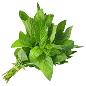 نعنع / Mint